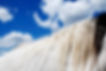 Horse Mane Detail
