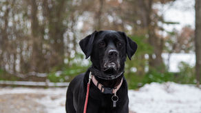  [每週星座運勢] 2025/12/7-12/13｜小龜的塔羅牌世界