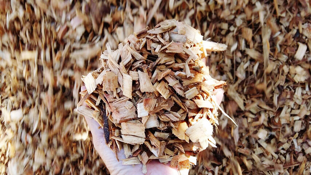 A person holds a pile of light brown wood chips in their hand