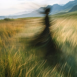 Blurred Figure in Field