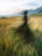 Blurred Figure in Field