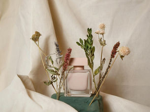 Understanding the Different Families of Perfumes and Their Unique Characteristics