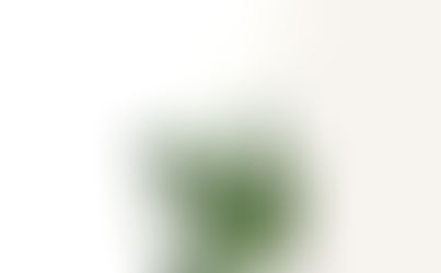 What is a materiality assessment and does your company need one?