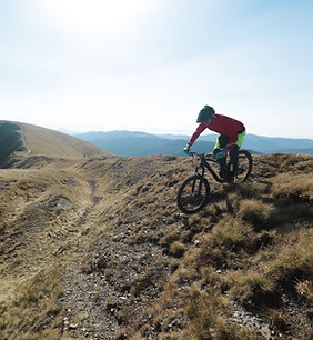 Professionelle Mountainbiker