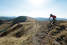 Professional Mountain Bikers