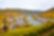 Town View