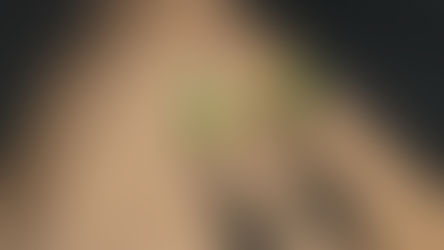 New York Quietly Rewrote the Rules on Pay Frequency Claims This Year; What Employers Should Understand Now