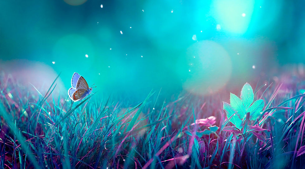 Signs and Wonders: Discovering Synchronicity in our Experiences and Dreams 