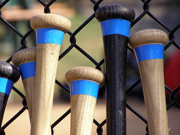 Baseball Bat Handles