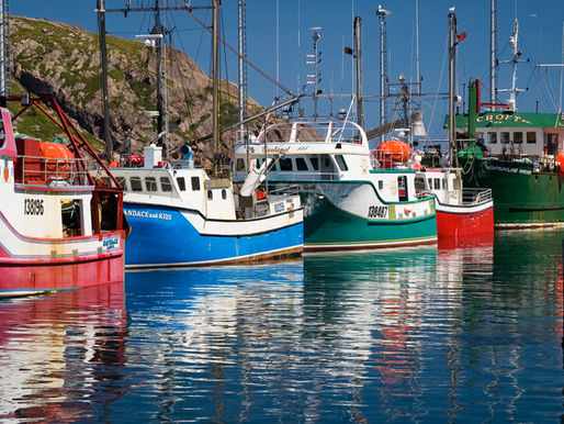New technology trials announced to help sustainably manage UK fish stocks