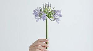 Hands Holding Flower