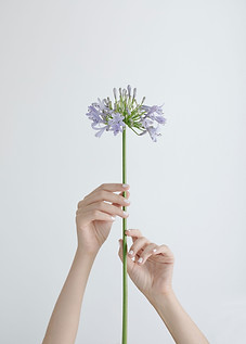 Hands Holding Flower