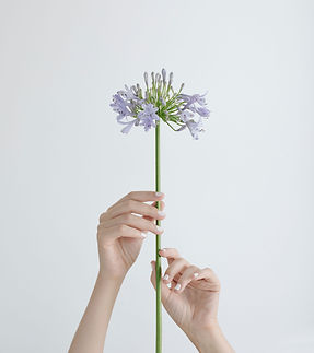 Mains tenant une fleur