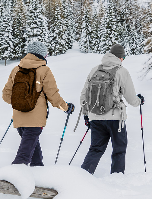 Trekking in Snow