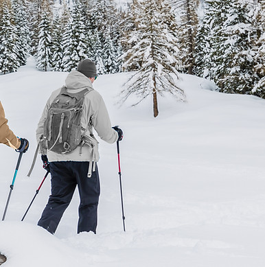 Skifahren bergab