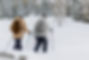 Trekking in Snow