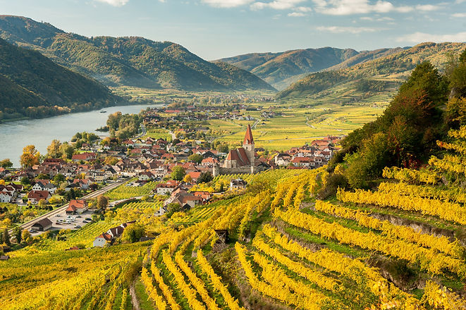 Village with vineyards and river