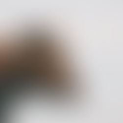 Humane Animal Slaughter