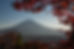 Mount Fuji