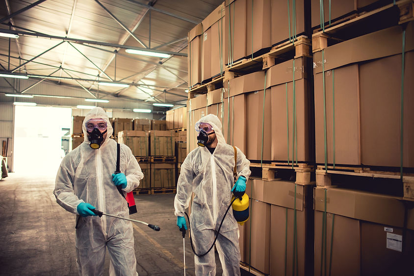 Commercial pest control experts in a warehouse in Belfast.