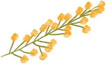 Branch