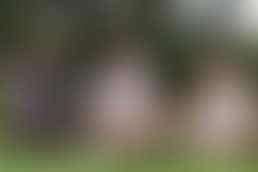 Council's Six-month Progress Report Focusses on Connection and Community