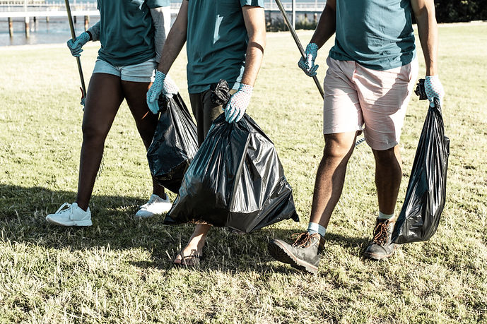 Volunteers Cleaning Nature