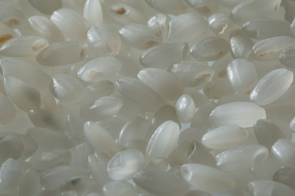 Close-Up Of Rice