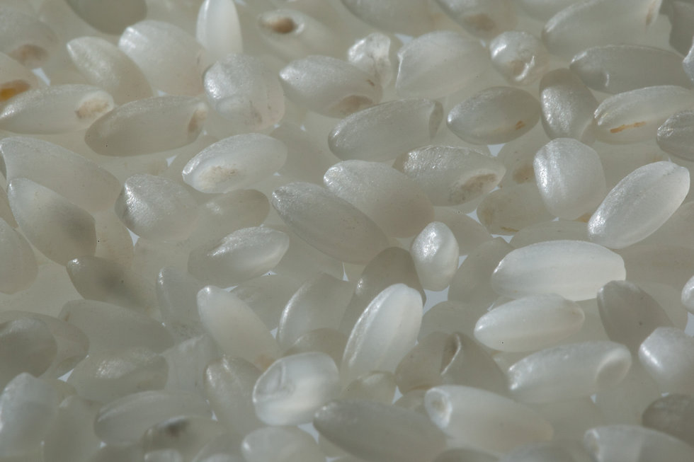 Rice