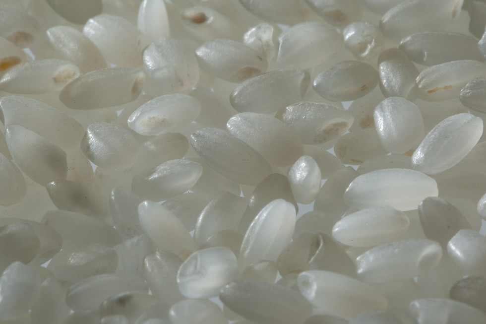 Thumbnail: RICE