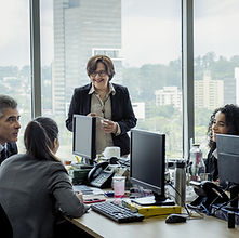 Colegas em reunião