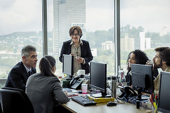 Colegas em reunião