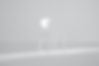 White Minimalist Chair