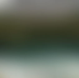 Person standing calmly in nature, surrounded by soft light, symbolizing nervous system regulation and inner peace during stressful times.