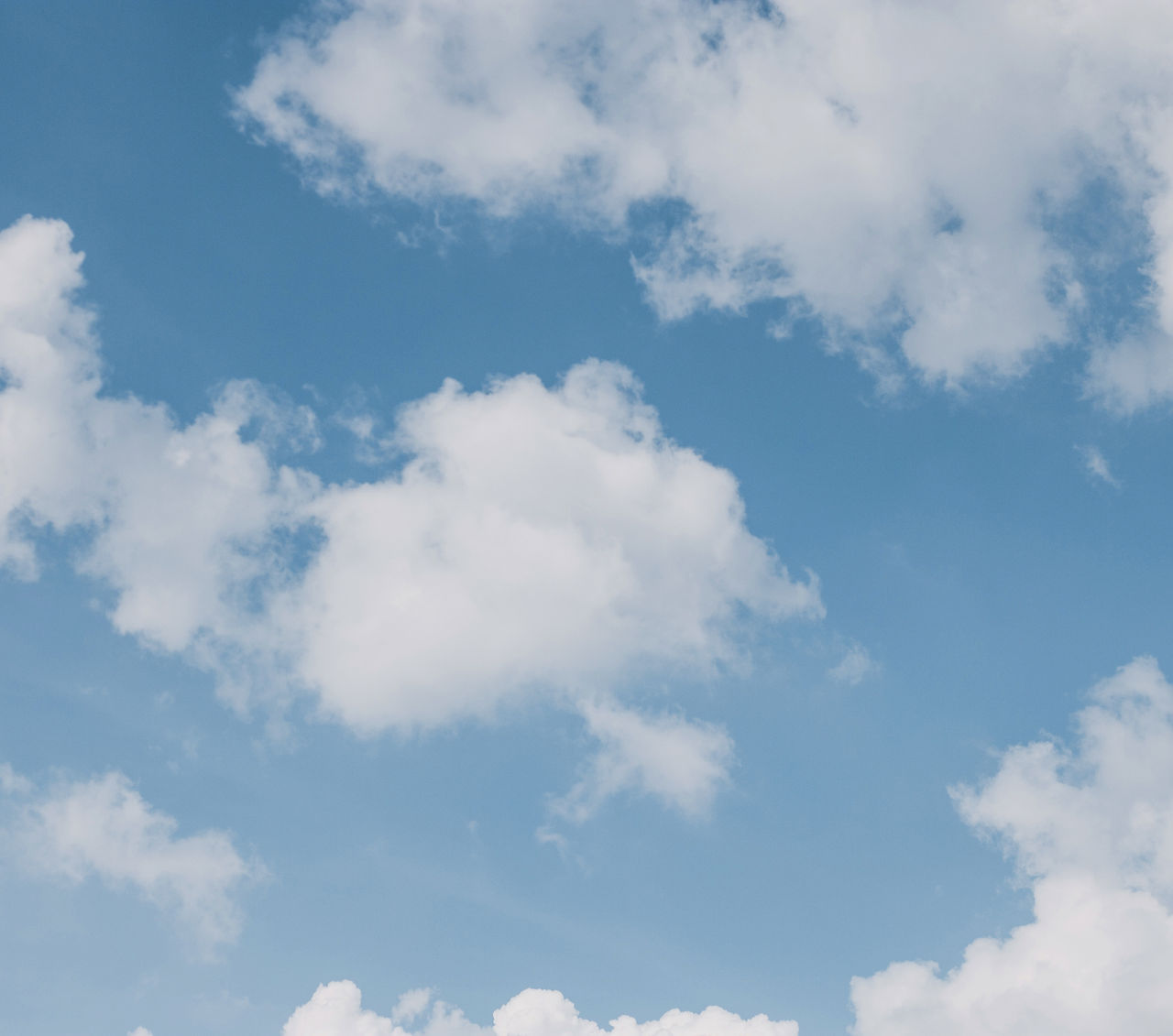 Cielo