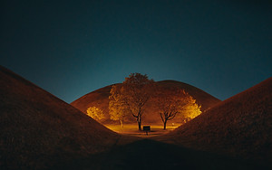 Trees between Hills