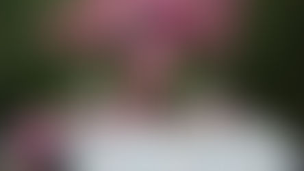 WEDDING TRENDS 2023 – 10 Inspirationen für deine elegante Hochzeit