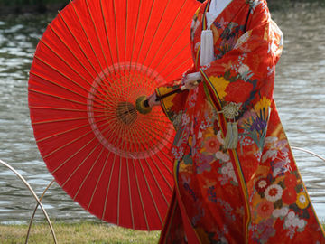 花は花として、、、、、、、