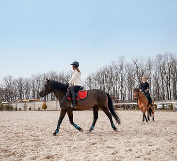 Cours d'équitation