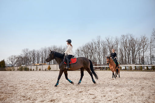 Cours d'équitation