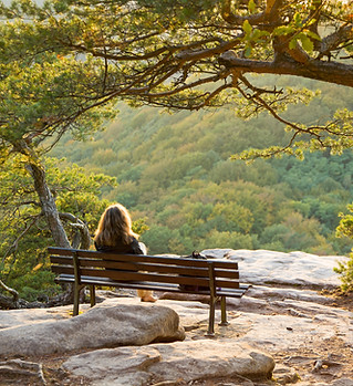 Sitting on a Bench