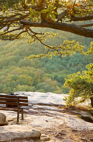 Sitting on a Bench