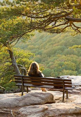 Sitting on a Bench