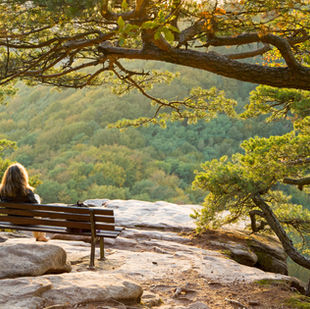 La solitude du leadership : un défi caché des managers