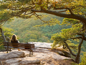 Woman sitting alone on a bench