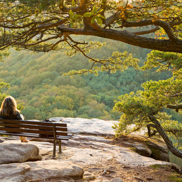 Understanding Loneliness: Its Impacts and How to Overcome It