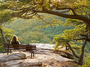 Zittend op een bankje