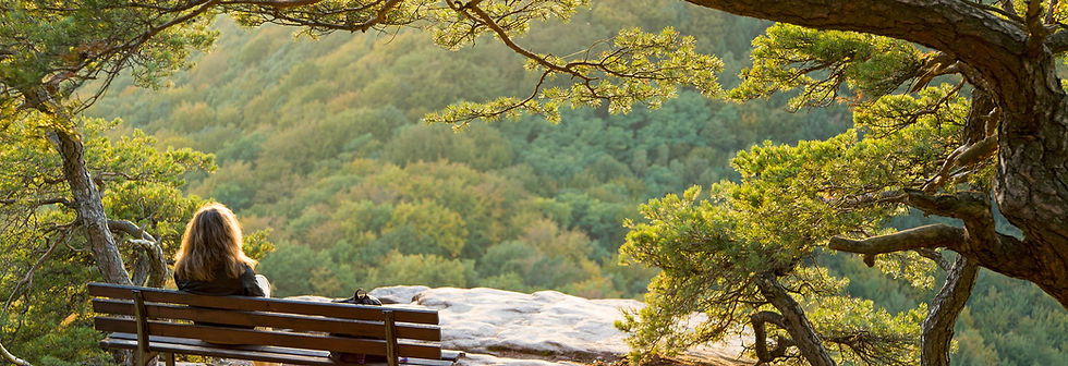 Frau die auf einer Bank sitzt und in die Ferne sieht - Seminar: Reise zur Selbstliebe, Gefühle, Persönlichkeitsentwicklung