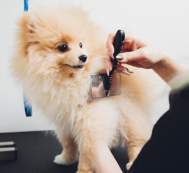 Getting a Haircut