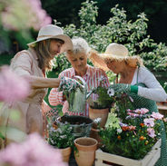 Community Garden